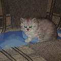Аватар пользователя Елизавета Флипова