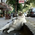Аватар пользователя Эдгар Корнилов